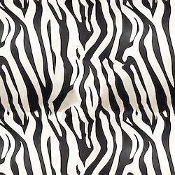 Black/White - Zebra